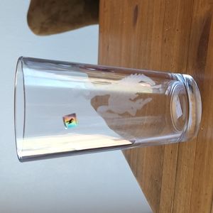 Glass Cowboy 16oz Etched New Authentic University of Wyoming